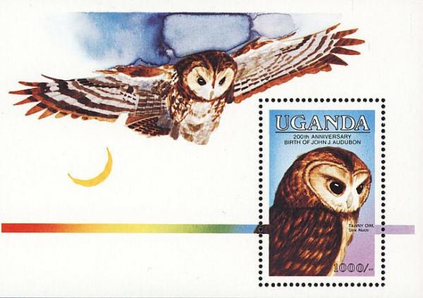 Colnect-1409-306-Tawny-Owl-Strix-aluco.jpg