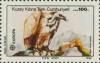 Colnect-1681-393-Griffon-Vulture-Gyps-fulvus.jpg