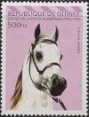 Colnect-2142-489-White-Arabian-Horse-Equus-ferus-caballus.jpg