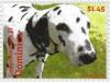 Colnect-3277-013-Dalmatian-Canis-lupus-familiaris.jpg