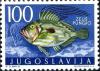 Colnect-4504-139-John-Dory-Zeus-pungio.jpg