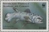 Colnect-5565-805-West-Indian-Ocean-coelacanth-Latimeria-chalumnae.jpg