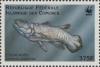 Colnect-5565-806-West-Indian-Ocean-coelacanth-Latimeria-chalumnae.jpg