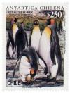 Colnect-571-766-King-Penguin-Aptenodytes-patagonicus.jpg