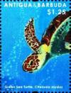 Colnect-5942-821-Head-of-Green-Sea-Turtle-Chelonia-mydas.jpg