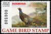 Colnect-6339-402-Green-Pheasant-Game-Bird.jpg