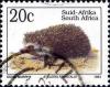 Colnect-763-290-Southern-African-Hedgehog-Atelerix-frontalis.jpg