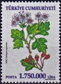 Colnect-5065-917-Hawthorn-Crataegus-oxyacantha.jpg