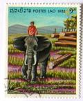 Colnect-532-915-Working-Asian-Elephant-Elephas-maximus.jpg