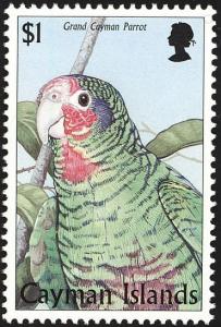 Colnect-1776-863-Cayman-Island-Amazon-Amazona-leucocephala-caymanensis.jpg