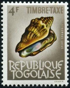 Colnect-1650-304-Bubonian-Conch-Strombus-latus.jpg