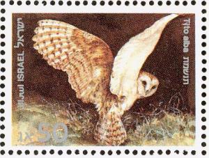 Colnect-2634-422-Common-Barn-Owl-Tyto-alba.jpg