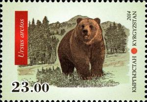Colnect-3073-857-Brown-Bear-Ursus-arctos.jpg