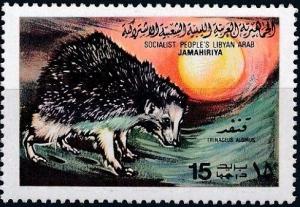 Colnect-3532-491-North-African-Hedgehog-Erinaceus-algirus.jpg