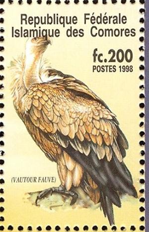 Colnect-3669-533-Griffon-Vulture-Gyps-fulvus.jpg