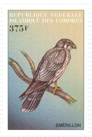 Colnect-3669-555-Merlin%C2%A0Falco-columbarius.jpg