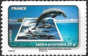 Colnect-4394-941-Dolphin-large-marine-mammals.jpg