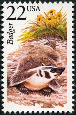 Colnect-5026-782-American-Badger-Taxidea-taxus.jpg