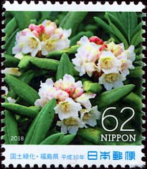 Colnect-5371-548-Rhododendron-Hymenanthes-brachycarpum.jpg