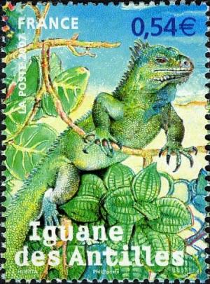 Colnect-553-662-Lesser-Antillean-Iguana-Iguana-delicatissima.jpg