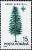 Colnect-4929-468-European-Silver-Fir-Abies-alba.jpg