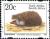 Colnect-800-949-Southern-African-Hedgehog-Atelerix-frontalis.jpg