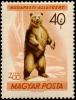 Colnect-812-902-Brown-Bear-Ursus-arctos.jpg