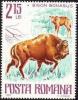 Colnect-629-649-European-Bison-Bison-bonasus.jpg