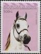 Colnect-2142-489-White-Arabian-Horse-Equus-ferus-caballus.jpg