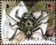 Colnect-2541-505-Longhorn-Beetle-F-Cerambycidae.jpg