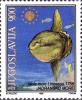 Colnect-4479-265-Ocean-Sunfish-Mola-mola.jpg