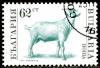 Colnect-1429-487-Goat-Capra-hircus.jpg