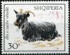 Colnect-2317-683-Domestic-Goat-Capra-aegagrus-hircus.jpg
