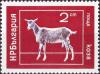 Colnect-4024-242-Goat-Capra-hircus.jpg