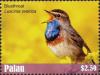 Colnect-4835-369-Bluethroat----Luscinia-svecica.jpg