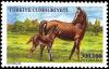 Colnect-975-840-Mare-and-Foal-Equus-ferus-caballus.jpg