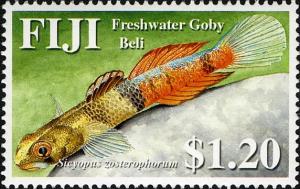 Colnect-746-669-Freshwater-Goby-Sicyopus-zosterophorum.jpg