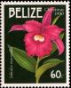 Colnect-2229-602-Sobralia-macrantha.jpg