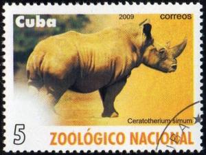 Colnect-1770-640-White-Rhinoceros-Ceratotherium-simum.jpg