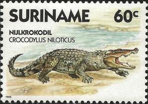 Colnect-3629-598-Crocodylus-niloticus.jpg