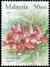 Colnect-3430-729-Rhododendron-rugosum.jpg
