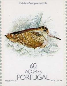 Colnect-186-404-Eurasian-Woodcock-Scolopax-rusticola.jpg