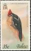 Colnect-1594-442-Lineated-Woodpecker-Dryocopus-lineatus.jpg