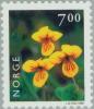 Colnect-162-637-Yellow-Wood-Violet-Viola-biflora.jpg