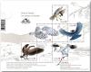 Colnect-5156-876-Birds-of-Canada-overprinted.jpg