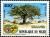 Colnect-1008-707-Protected-species-of-trees-in-Niger---Acacia-albida.jpg