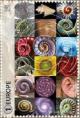 Colnect-5044-576-Collection-of-spiral-shapes-in-nature.jpg