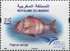 Colnect-4051-691-EuroMed-Joint-Issue---Red-Snapper.jpg