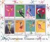 Colnect-1095-728-Winter-Olympic-Games-Nagano-98.jpg
