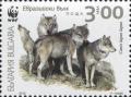 Colnect-5784-257-Gray-Wolf-Canis-lupus-lupus.jpg
